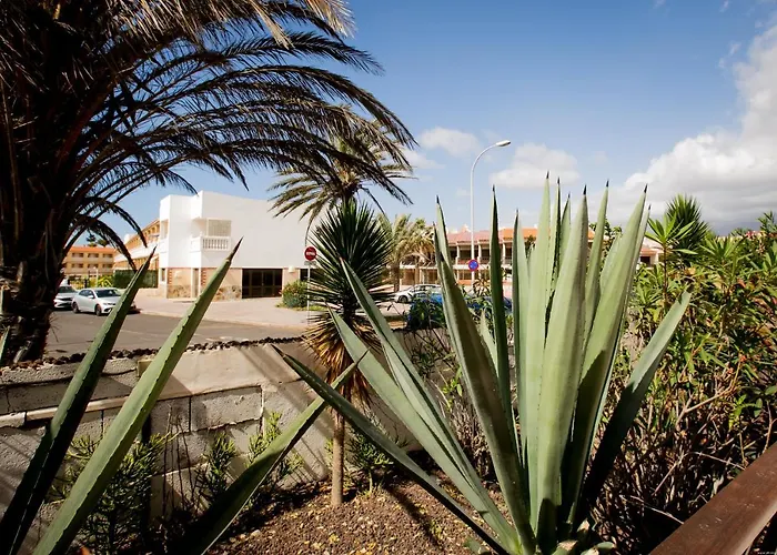 10a Amarilla Bay Pool Smart Tv Wi Fi 公寓